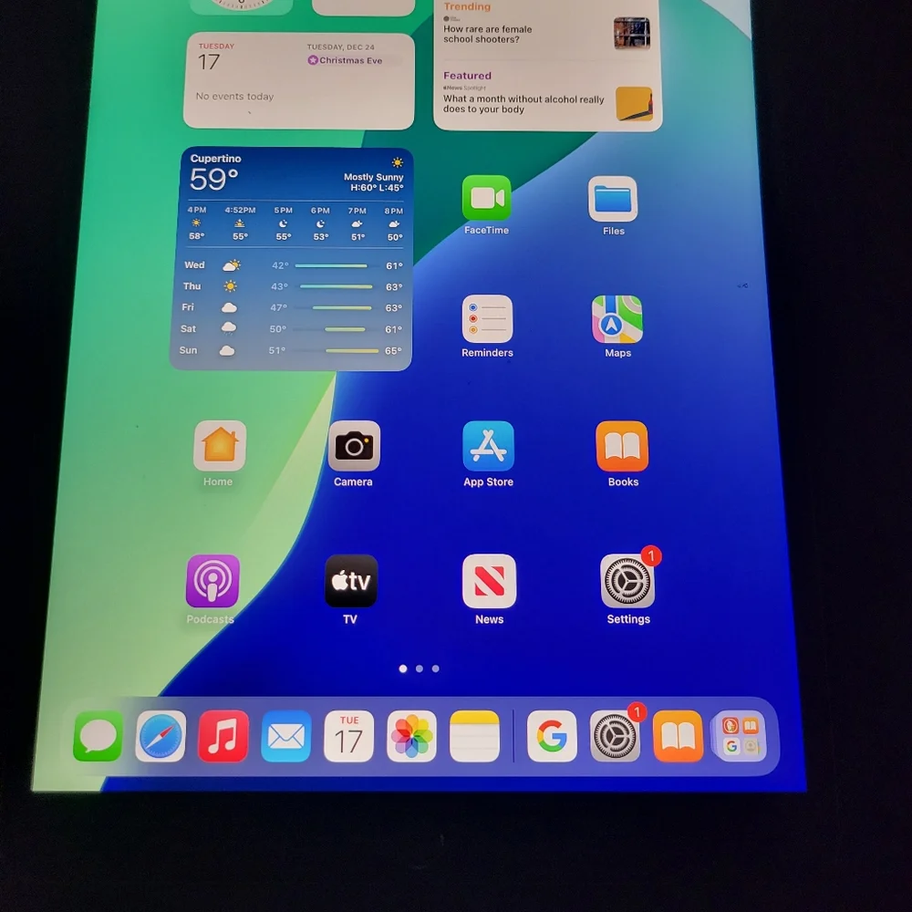 Apple this ipad